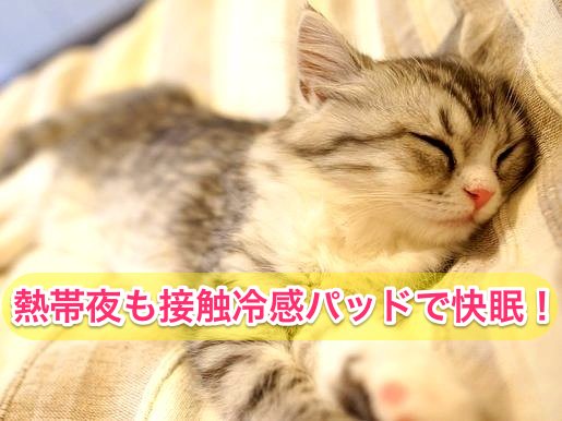 接触冷感敷パッドで夏に猫も熟睡
