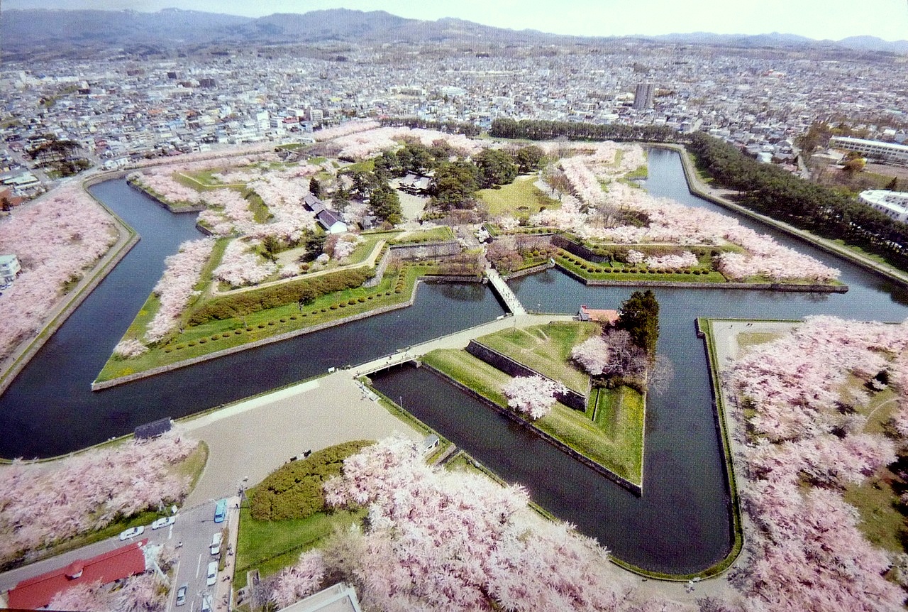 北海道の函館の観光旅行 五稜郭タワーからの桜の眺め