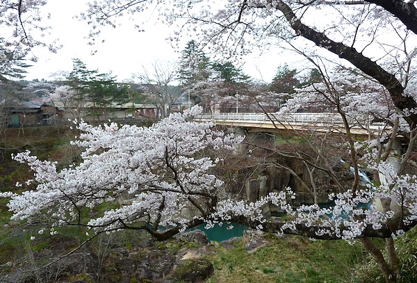 岩手県、一ノ関の厳美渓の桜