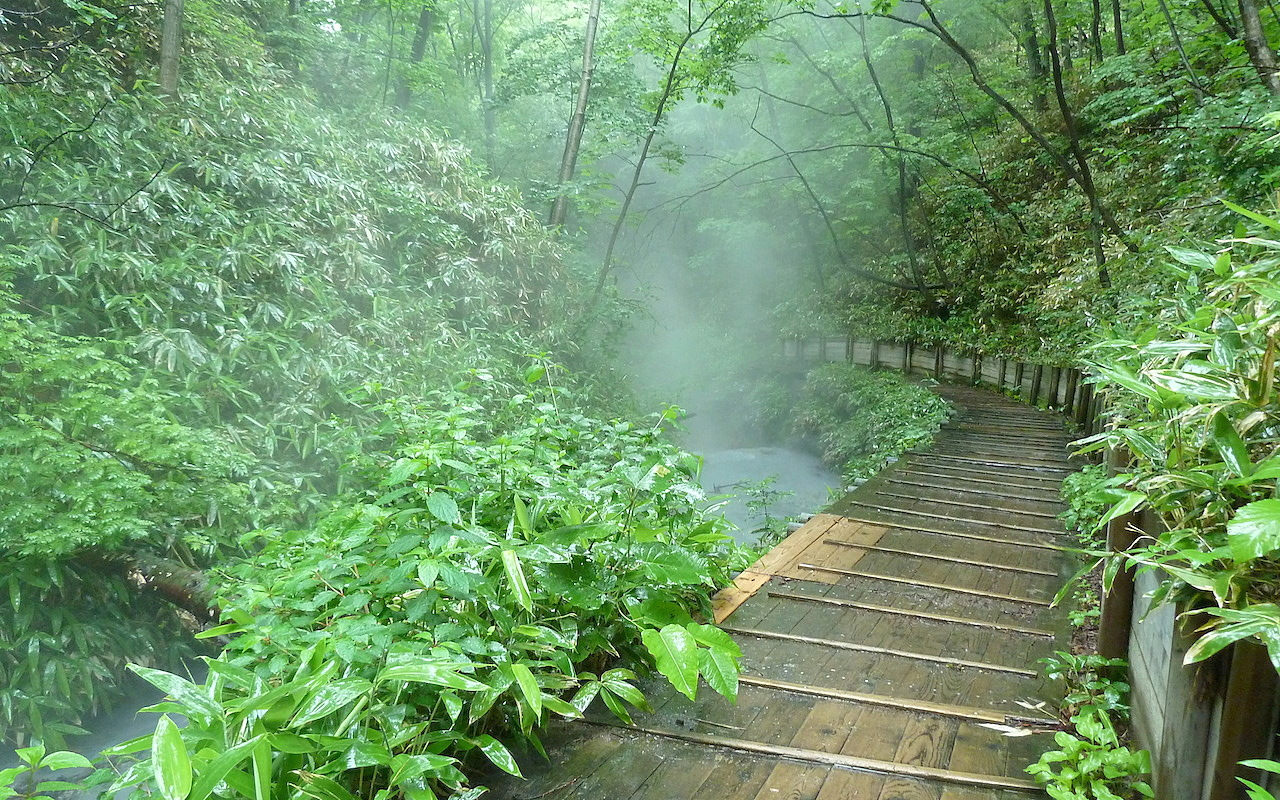 北海道の登別温泉の観光旅行 大湯沼川天然足湯への原始林
