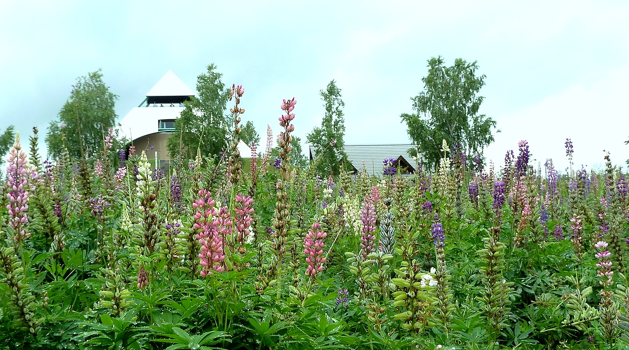 北海道の美瑛の観光旅行 パッチワークの路の北西の丘展望公園
