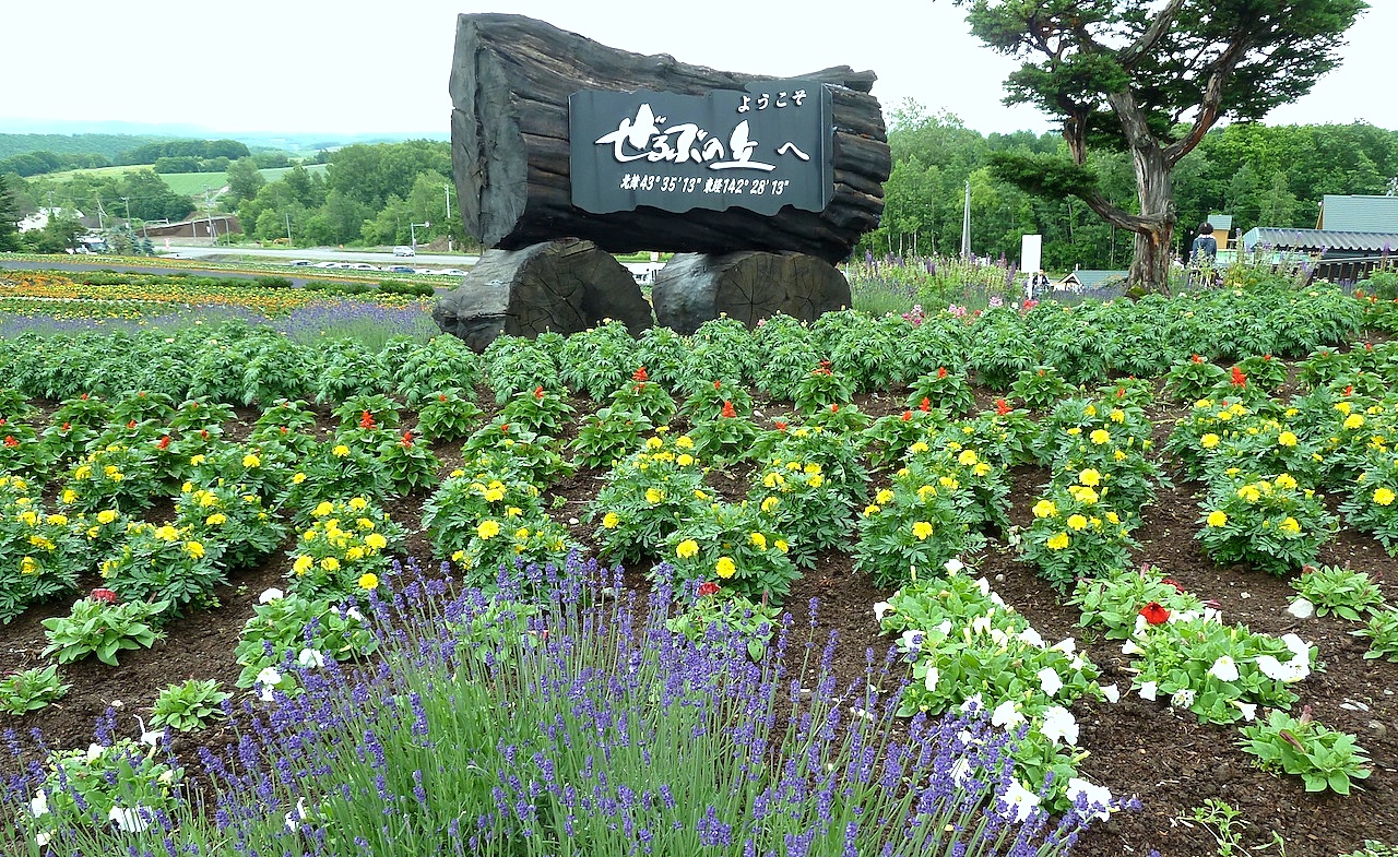 北海道の美瑛の観光旅行 パッチワークの路のぜるぶの丘・亜人夢の丘