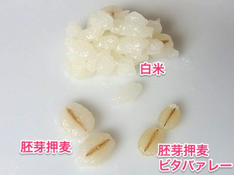 白米、胚芽押麦、胚芽押麦ビタバァレーの比較
