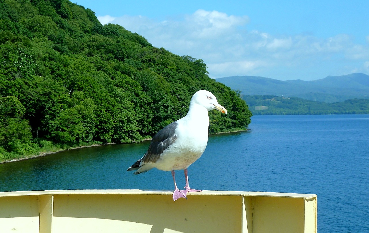 北海道の洞爺湖の観光旅行 クルーズでかもめ