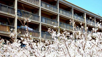 祝い金や割引もある!引越し先・新生活はURで節約!礼金,更新料,保証人,収入証明が不要