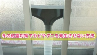冬の窓の結露対策でダニ,カビ防止!デメリットや原因や駆除方法まとめ